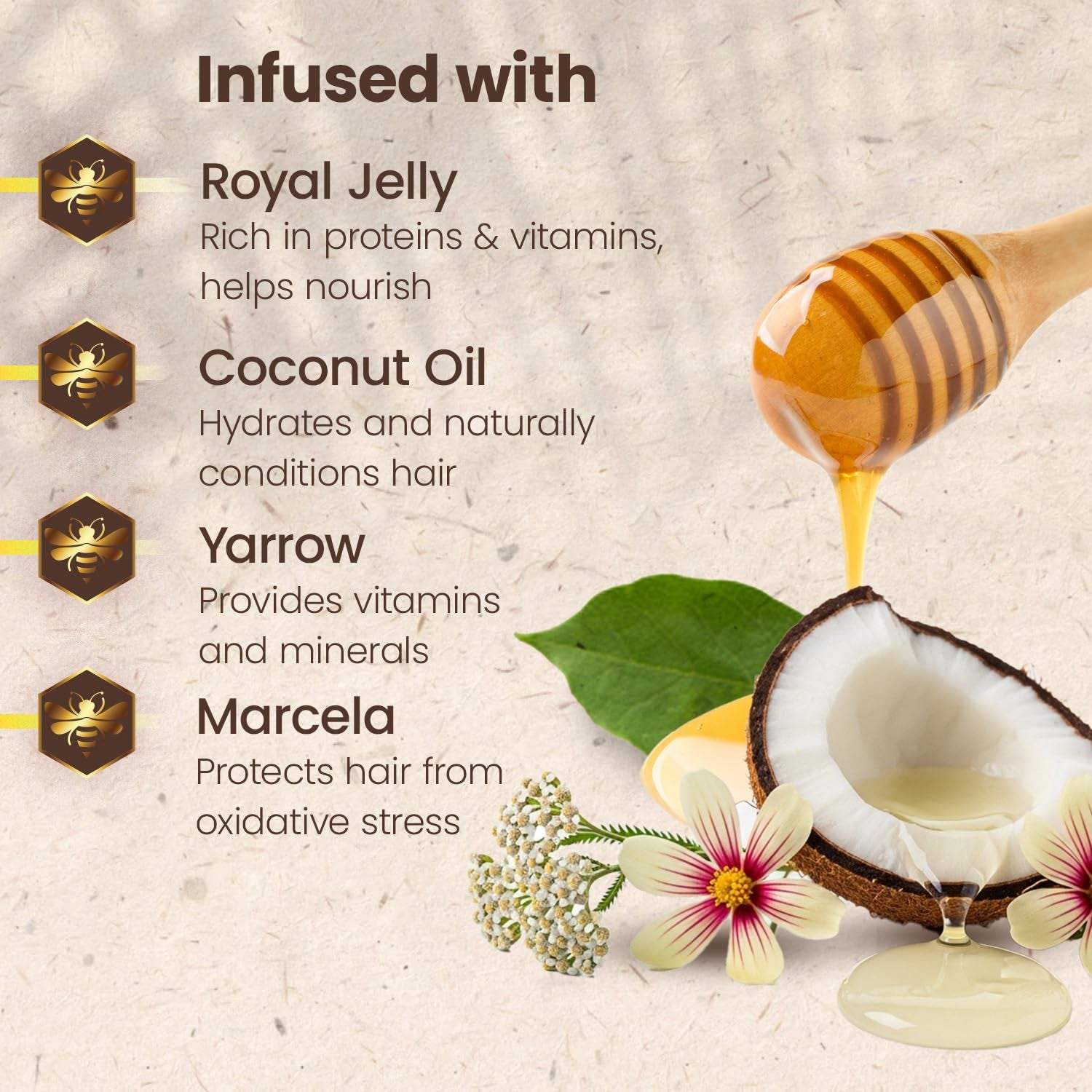 Ultra-Moisturizing Frizz Control Shampoo, 14 Fl Oz, Organic Coconut Oil and Royal Jelly, Deep Hydration, Natural Botanical Extracts, anti Hair Loss Shampoo, Gentle Formula | Organic Coconut Oil and Royal Jelly, Deep Hydration, Natural Botanical Extracts, anti Hair Loss Shampoo, Gentle Formula
